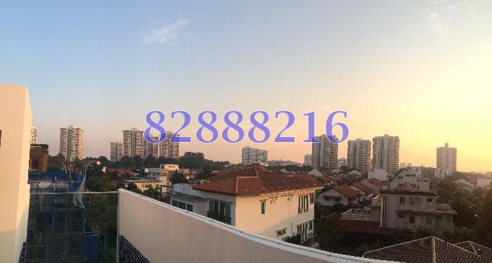 Eastrees (D15), Terrace #62362082
